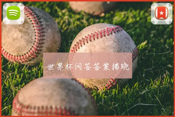 世界杯问答答案揭晓