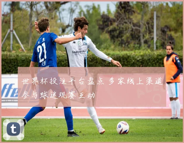 世界杯投注平台盘点 多家线上渠道参与球迷观赛互动