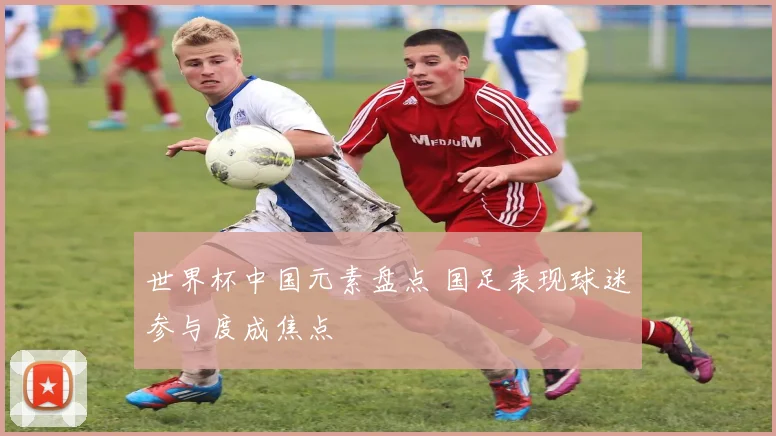 世界杯中国元素盘点 国足表现球迷参与度成焦点