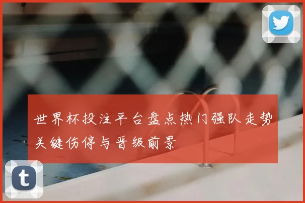 世界杯投注平台盘点热门强队走势关键伤停与晋级前景