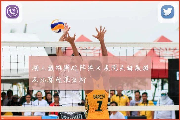 湖人戴维斯对阵热火表现关键数据及比赛结果分析