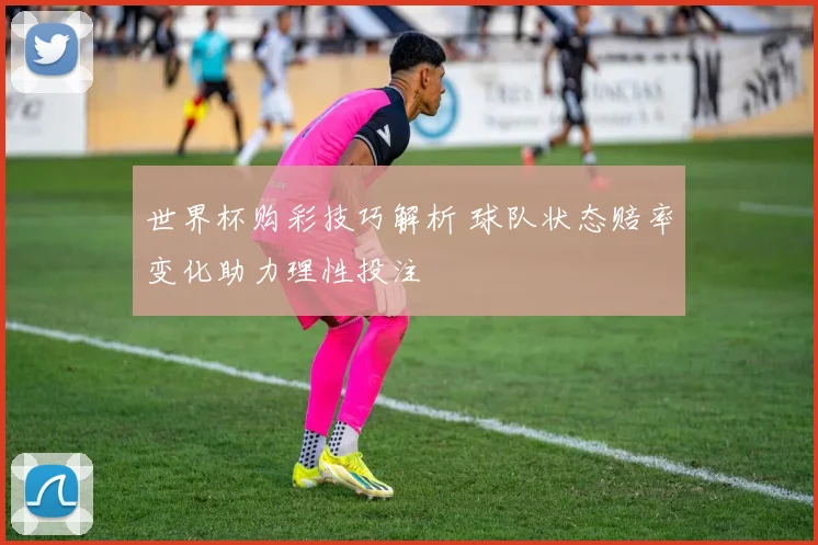 世界杯购彩技巧解析 球队状态赔率变化助力理性投注