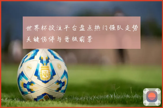 世界杯投注平台盘点热门强队走势关键伤停与晋级前景